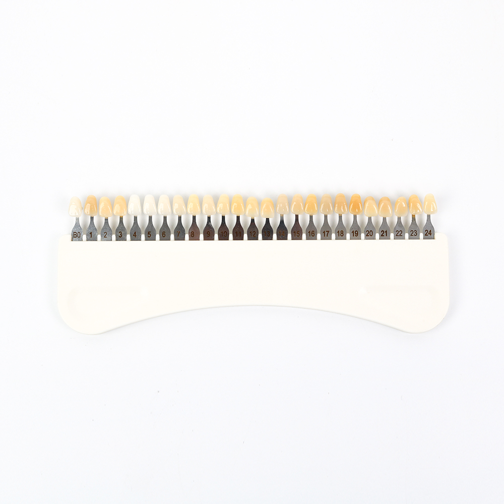 3D歯のホワイトニングシェードガイド 25色 磁器歯の漂白チ - Teeth Whitening Shade Guide のレビューと価格
