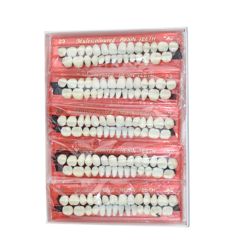 28 歯歯科用樹脂義歯セット 3D シェードガイドカラーコン - Teeth Whitening Shade Guide のレビューと価格