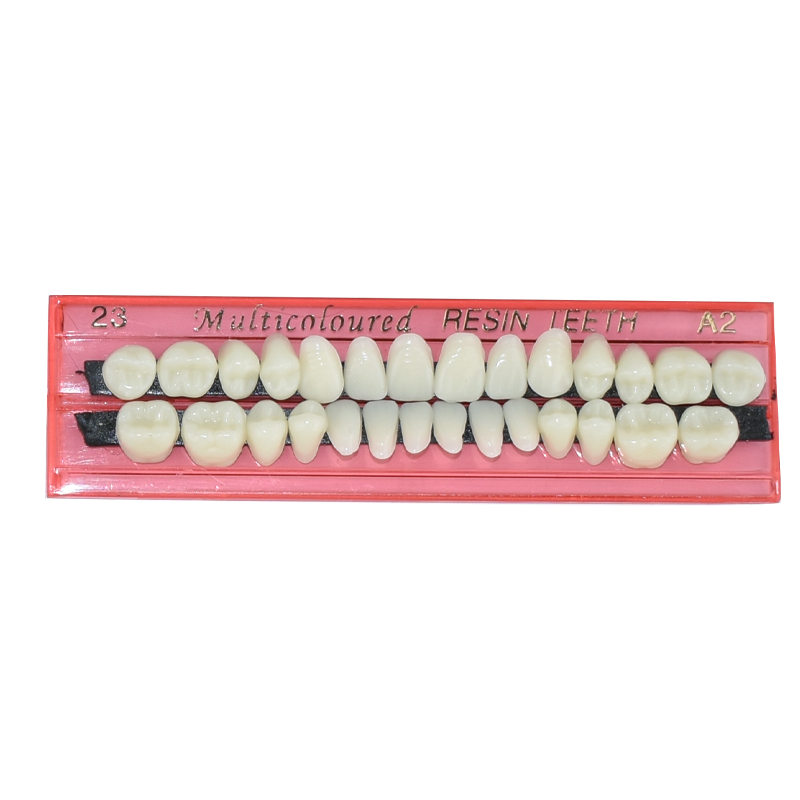 28 歯歯科用樹脂義歯セット 3D シェードガイドカラーコン - Teeth Whitening Shade Guide のレビューと価格