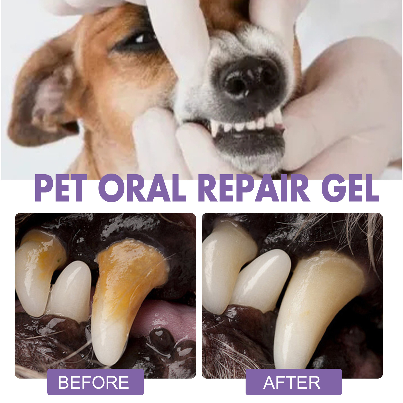 ペット口腔修復ジェル子犬歯石除去消臭剤白くする猫犬歯ステイン - Teeth Whitening Foam のレビューと価格