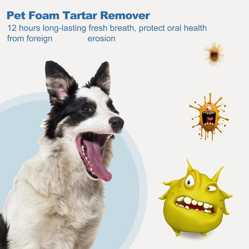 60ml ペット口腔ケア泡状クレンザー 犬猫用 ブラシ不要  - Teeth Whitening Foam のレビューと価格