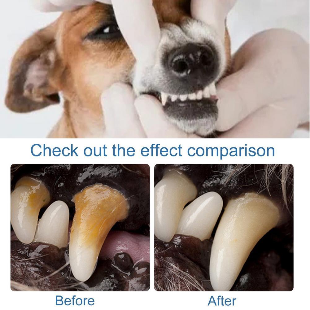 60ml ペット口腔ケア泡状クレンザー 犬猫用 ブラシ不要  - Teeth Whitening Foam のレビューと価格
